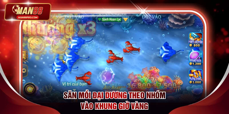 Săn mồi đại dương theo nhóm vào khung giờ vàng